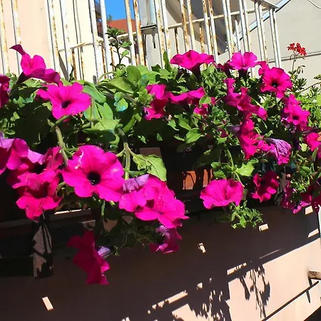 Апартаменты La Casa Del Darda