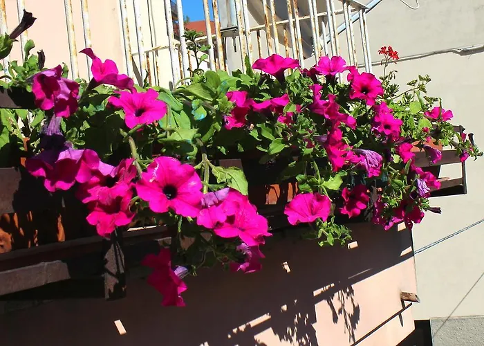 Apartamento La Casa Del Darda